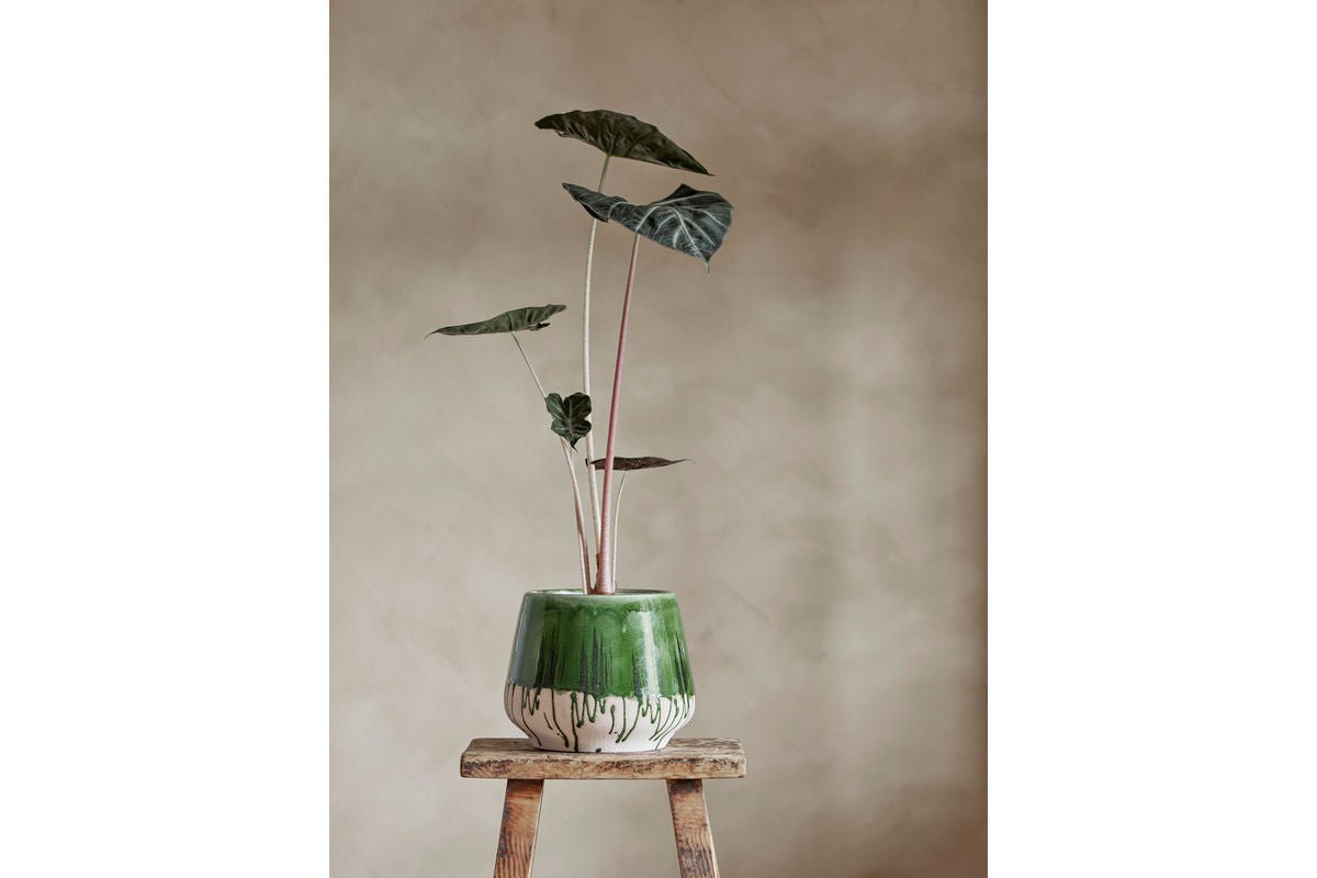 Luxusbetten24 Avino Blumentopf Reaktive Crackle-Glasur Grün