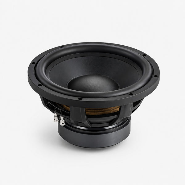 12 Inch High-Power Subwoofer Driver Raku Autoparts RAP-AUD-053