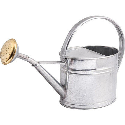 GUILLOUARD DISTRIBUTION Regadera 1.75L Acero Galvanizado Natural de Jardín