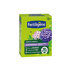GARDEN Desherbante de Jardín Garlon Selectivo 3 L