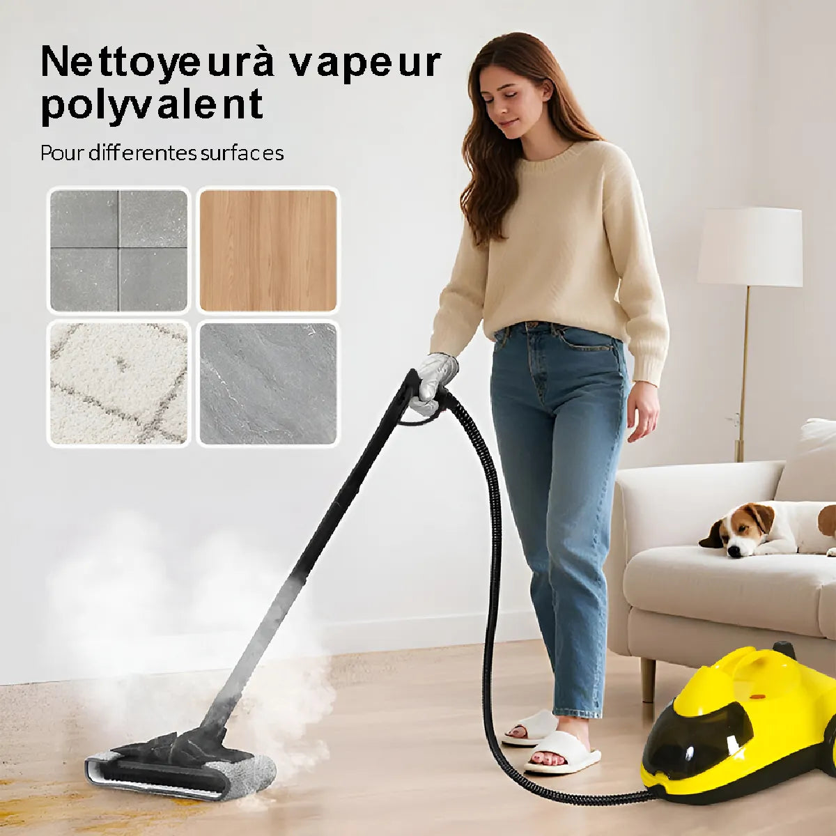Genérico Limpiador a Vapor 2000W 5 Bar 2L 14 Acc