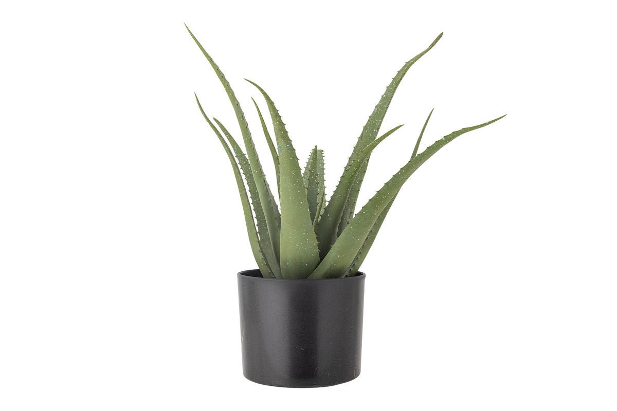 Luxusbetten24 Aloeve Kunstpflanze Dekorativ Wohnzimmer Höhe 61 cm Innenräume