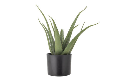 Luxusbetten24 Aloeve Kunstpflanze Dekorativ Wohnzimmer Höhe 61 cm Innenräume
