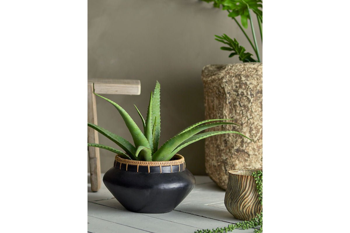 Luxusbetten24 Aloeve Kunstpflanze Dekorativ Wohnzimmer Höhe 61 cm Innenräume