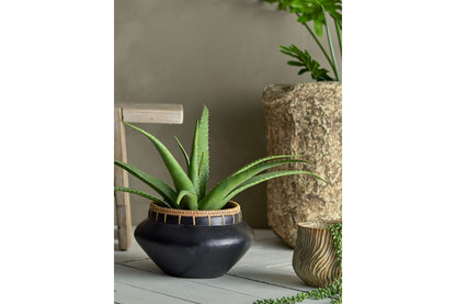 Luxusbetten24 Aloeve Kunstpflanze Dekorativ Wohnzimmer Höhe 61 cm Innenräume