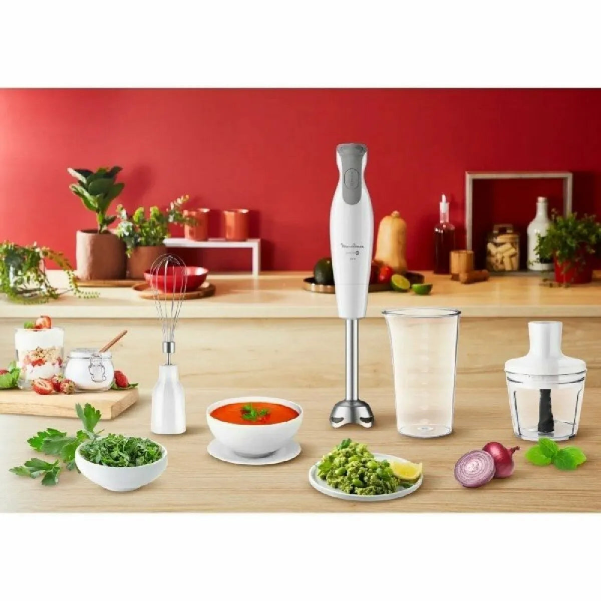 Mixeur Plongeant Moulinex Blanc MKR00002828775