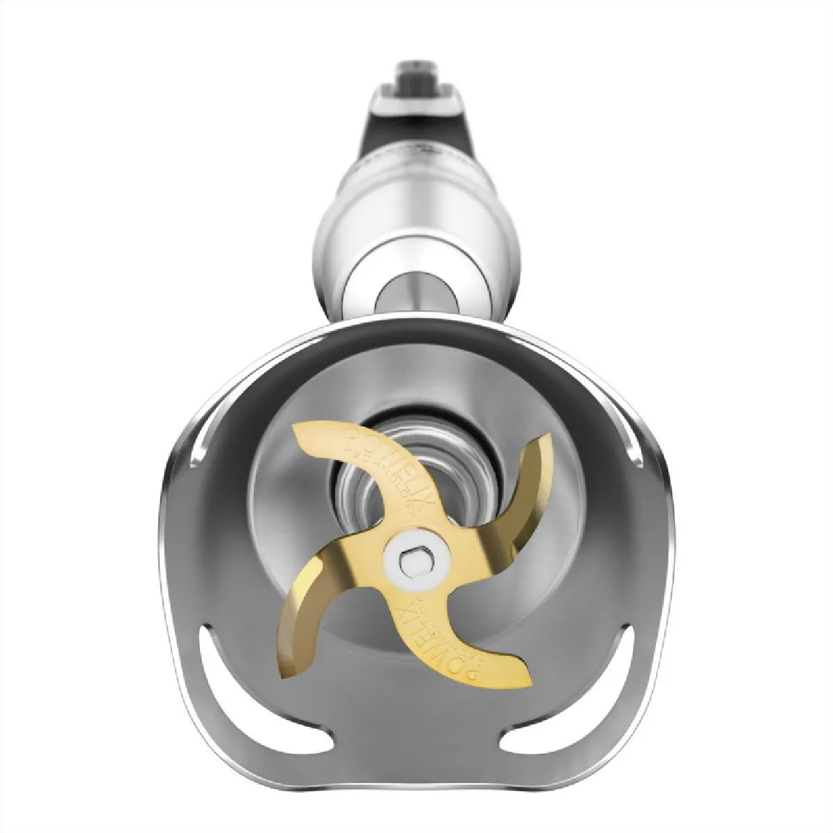Mixeur Plongeant Moulinex Argent MKR00001082887