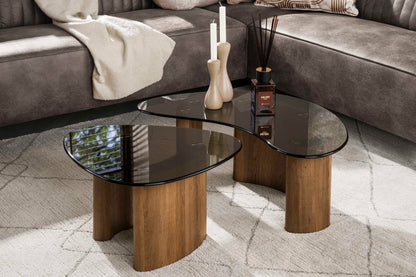 Couchtisch Aurora 2er Set Mit Rauchglasplatte Und Eichenoptik