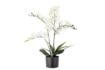 Luxusbetten24 Kunstpflanze White Nola 84 cm Echt Aussehende Dekoration