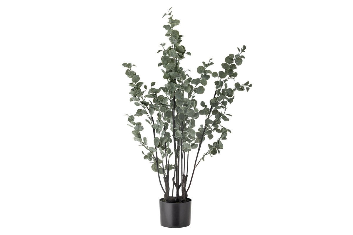 Kunstpflanze Eukalyptus Cali – Höhe 117 cm