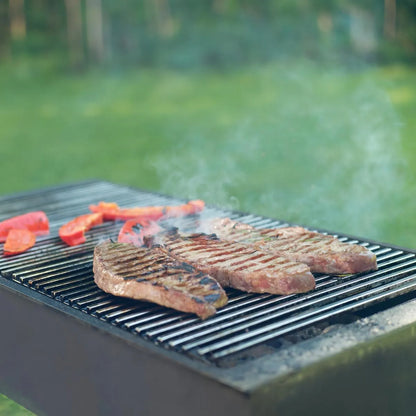 ECD Germany Grille BBQ