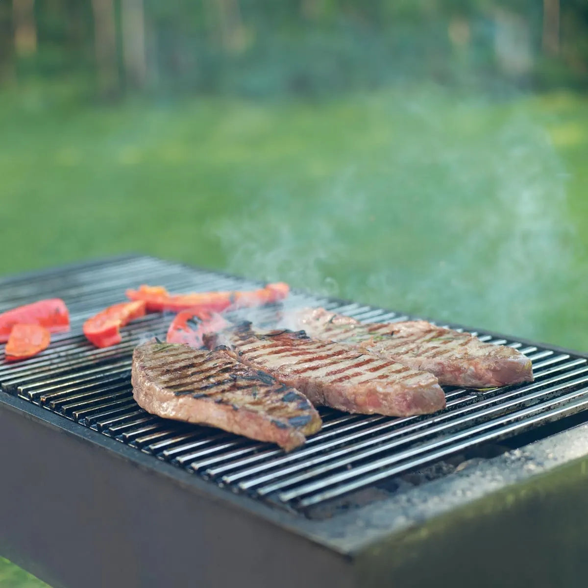 ECD Germany Parrilla BBQ Acero Inoxidable 60x40 cm