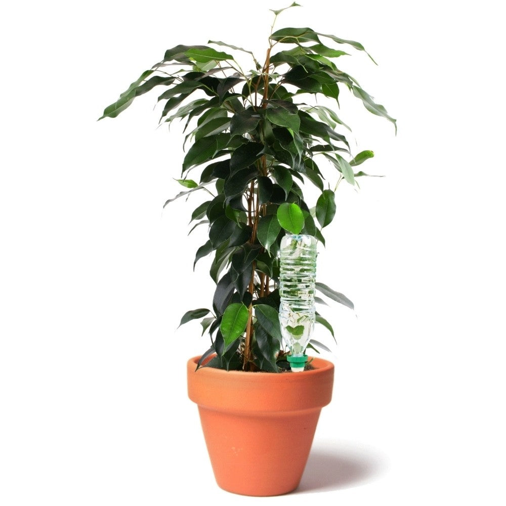 Aquasolo Sistema de Riego Universal Tamaño S Naranja 4 Conos