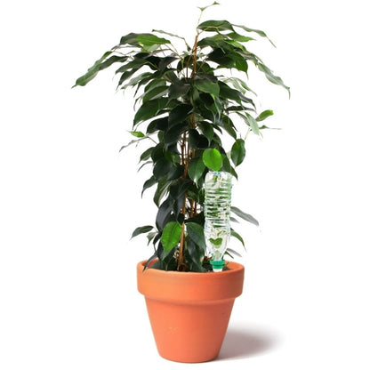 Aquasolo Sistema de Riego Universal Tamaño S Naranja 4 Conos