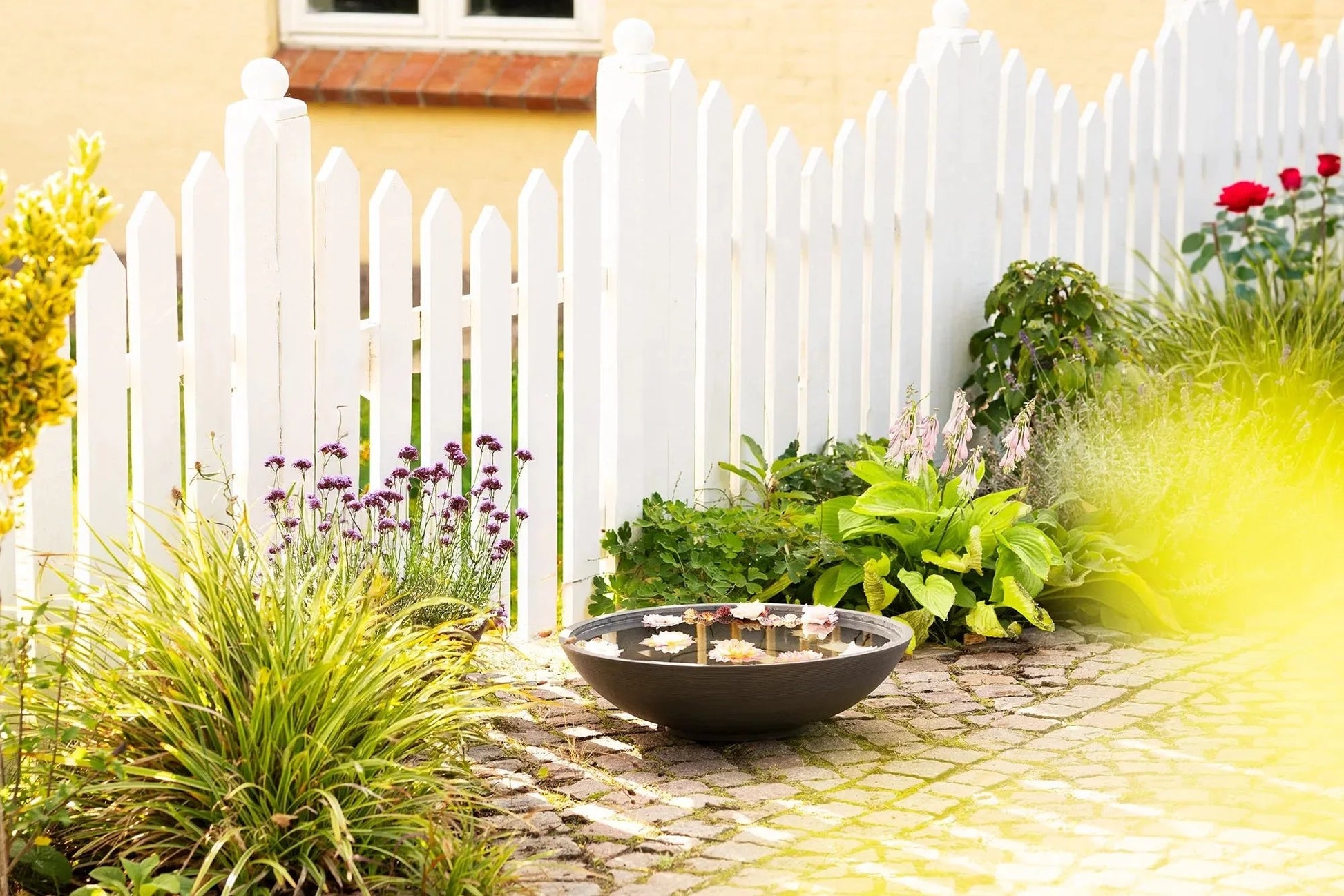 Garten Wasserschale Aldrenor – stilvolle Pflanzenschale in Dunkelgrau