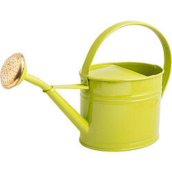 Générique Giraffe Arrosoir Diseño Galbé 1,5L Antracite