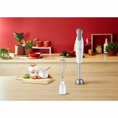 Mixeur Plongeant Moulinex Blanc MKR00002828775