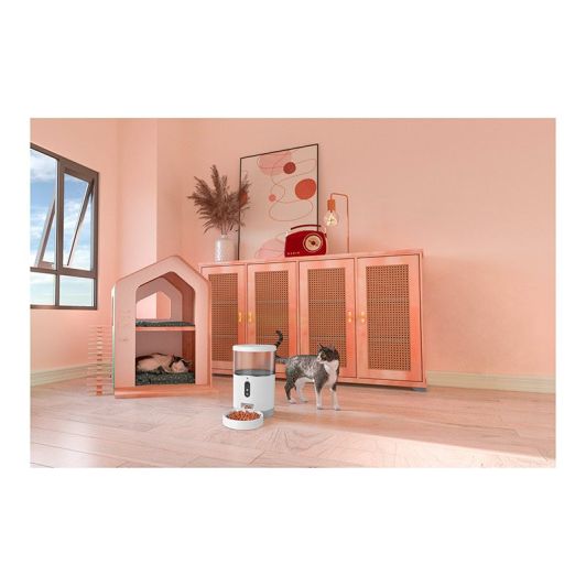PAWZZ Dispensador Automático de Crojetas 4L con Cámara Nocturna