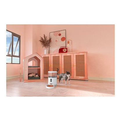 PAWZZ Dispensador Automático de Crojetas 4L con Cámara Nocturna