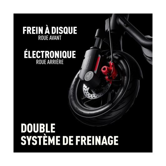 NINEBOT Segway Patinete Eléctrico 800W Motor Plegable Negro