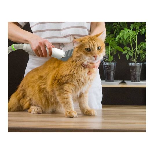 Kit de Peluquería Mascotas LIFENAXX 350W Aspiración 3 niveles succión 75dB Contenedor 1,5L