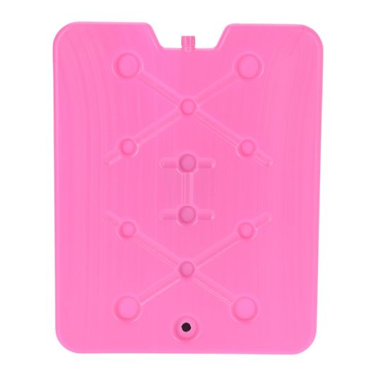 Placa Acumuladora de Frío Plástico 32 × 25 Cm