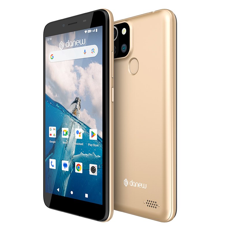 DANEW KONNECT 557 Teléfono Móvil Oro