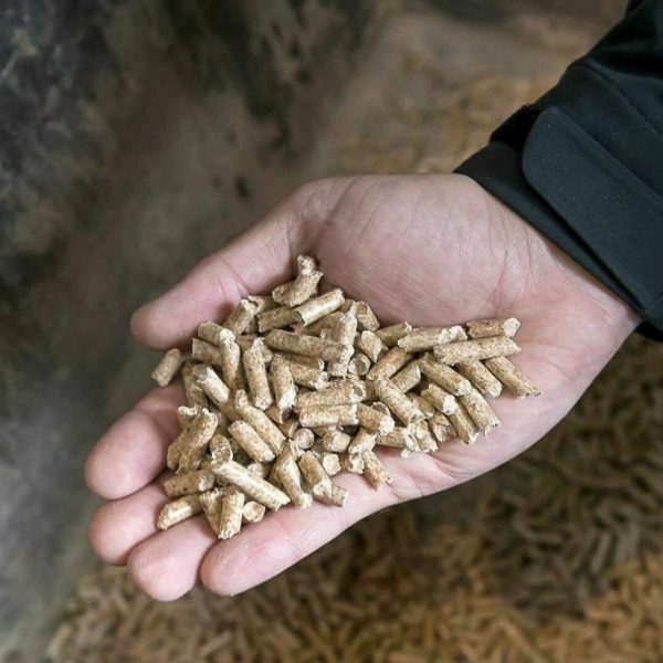 Pellets de Abeto y Haya Palé 70 Sacos