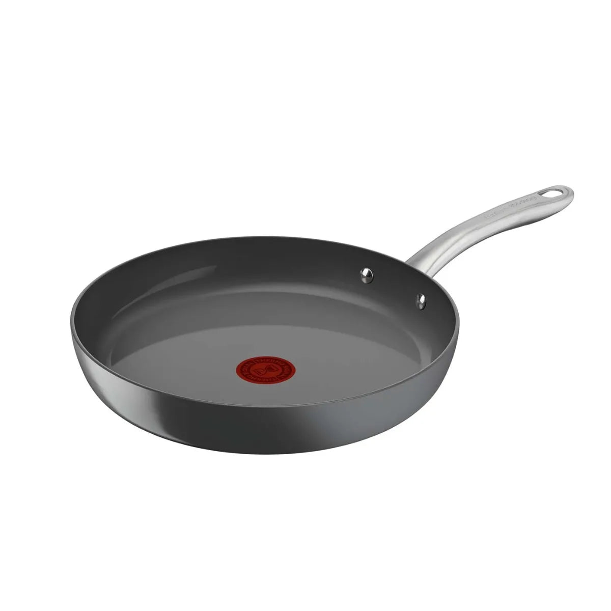 Poêle Aluminium 30cm Renew+ Tefal Gris MKR00012783407