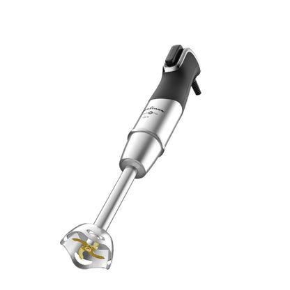 Mixeur Plongeant Moulinex Argent MKR00001082887