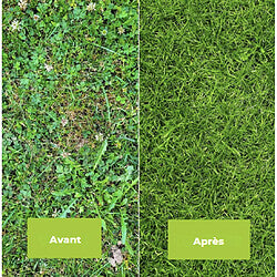 Garden Gallup 360 SL Desherbante Total 1 L