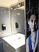 TOI TOI DIXI Premium Trendy Elegance Contenitore Sanitario Lusso