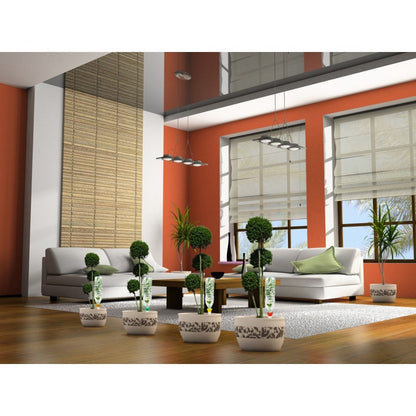 Aquasolo Sistema de Riego Universal Tamaño S Naranja 4 Conos