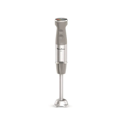 Mixeur Plongeant Moulinex Gris MKR00013235380