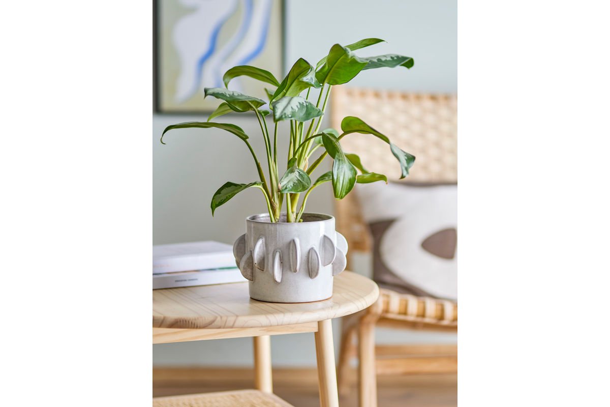 Blumentopf Eira – Skulpturales Steingutdesign in Weiß