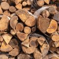 Leña de Encina y Roble 14 L para Chimenea y Barbacoa