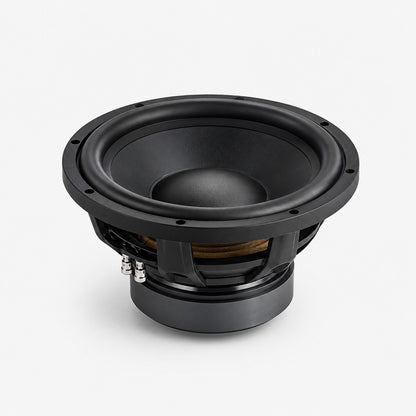12 Inch High-Power Subwoofer Driver Raku Autoparts RAP-AUD-053