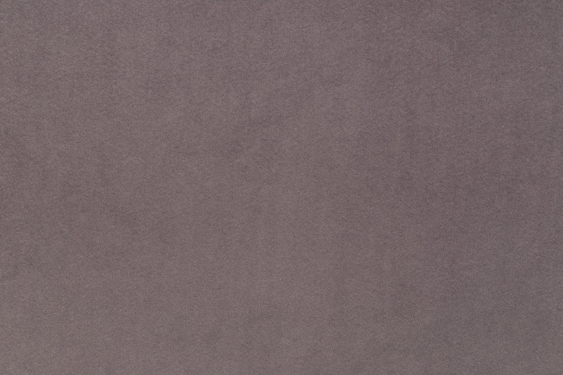 Luxusbetten24 Yumi Samt-Polsterbett, Modernes Design, Komfort, 140×200 cm, Weiß