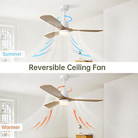 ProximaX Ventilador de Techo Madera Maciza 132 cm 6 Velocidades