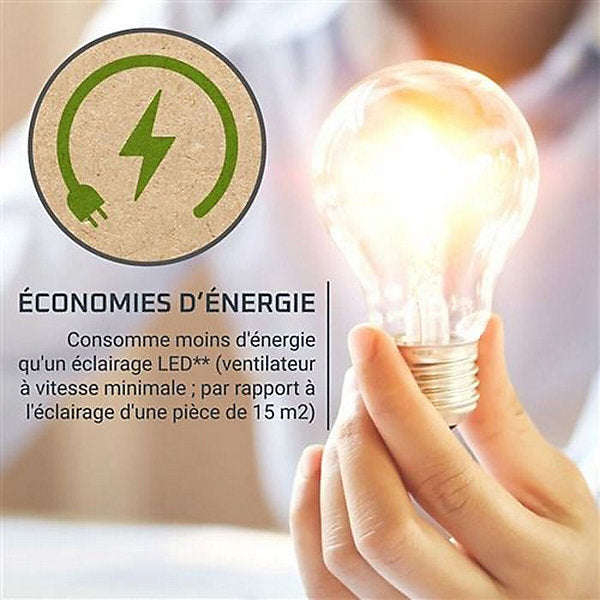 Ventilador Rowenta EcoConcu Turbo Essential VU3110F3 Negro 560 mm